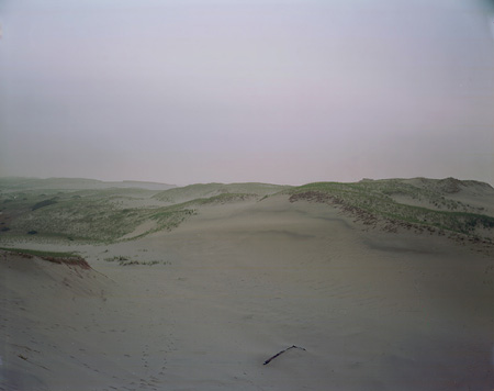 dunestick