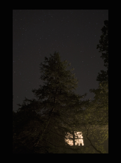 suburban home with glowing window, trees extending upwards to starry sky