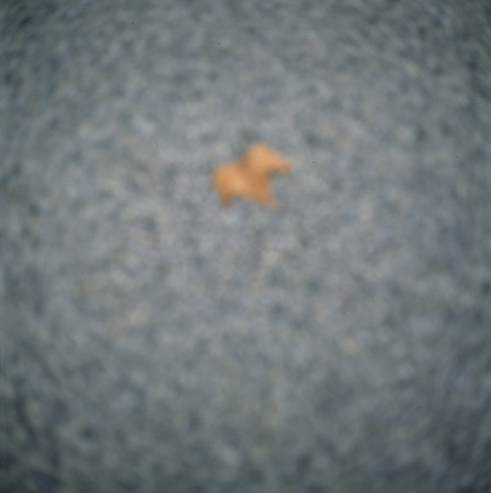 leafground