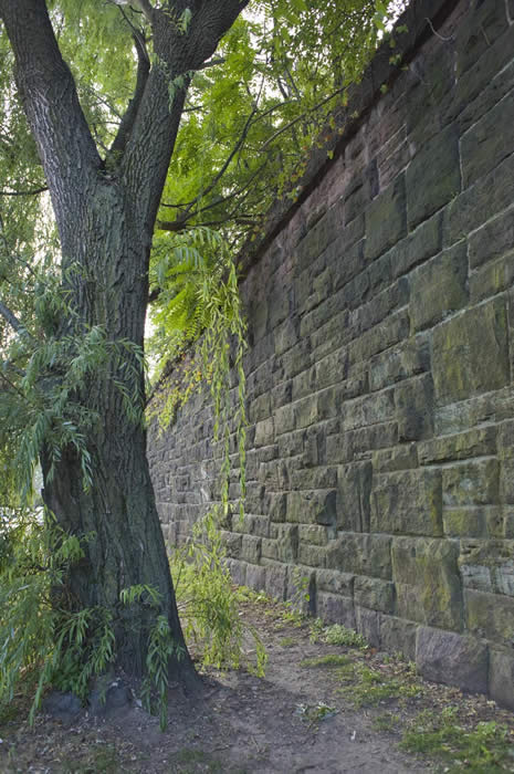 a view of the railroad embankment on 6th street in jersey city