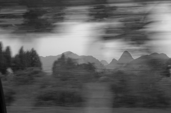 blurring trees like dark fireworks